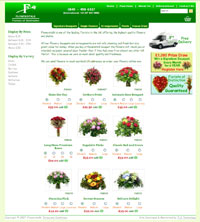Flowerstalk Flowerstalk