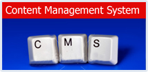 Content Management System